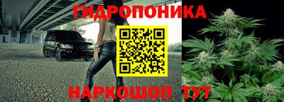 крисы Тара