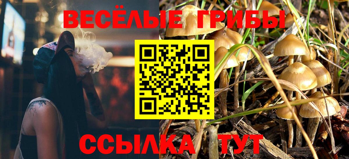 Галлюциногенные грибы мухоморы  Галлюциногенные грибы Cubensis  Подольск  Вход с VPN 